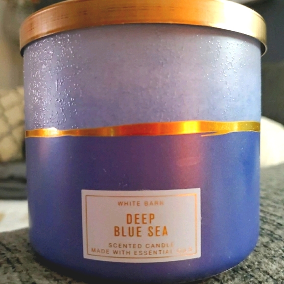 Bath & Body Works Other - Deep Blue Sea